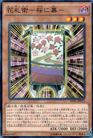 card_5546_