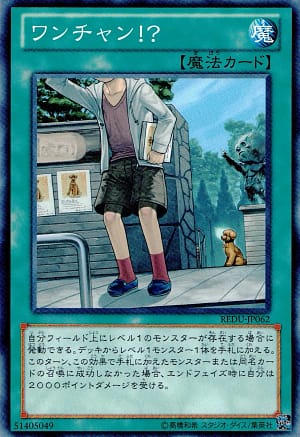 card_8223_series_18626_rarity_1_