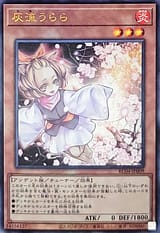 card_5417