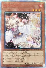 card_5417