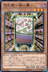 card_5546