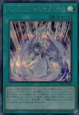 card_3702